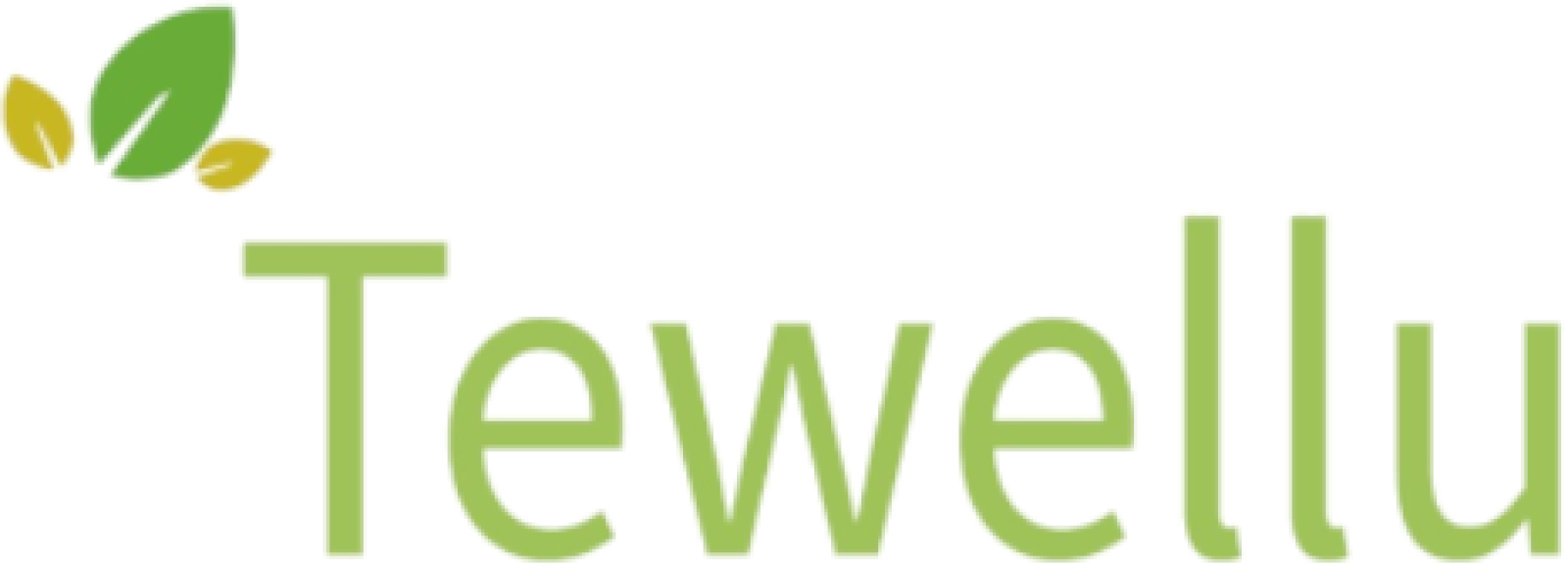 Tewellu - Online Satış Sitesi
